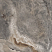 Керамогранит Onyx Gun Smoke 80x80, коричневый, глянцевый OC0000008 80x80 High Glossy Коричневый