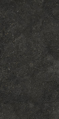 Керамогранит Pietra black 60х120х0.9 PT12F7049 120x60 Матовая 