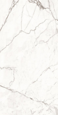 Керамогранит Superb Satuario Grande 120x60, белый, глянцевый OC0000011 120x60 Глянцевый High Glossy Белый