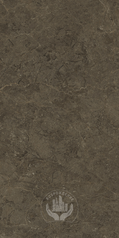 Керамогранит Neapol brown 60х120х0.9 PT12F7039 120x60 Матовая 
