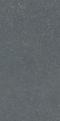 Керамогранит BlueStone BS02 120х60, тёмно-серый, неполированный BS02 120x60 Неполированный Ректифицированный Тёмно-серый