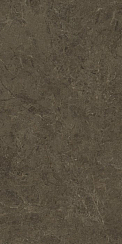 Керамогранит Neapol brown 60х120х0.9 PT12F7039 120x60 Матовая 