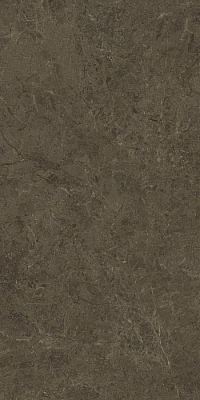 Керамогранит Neapol brown 60х120х0.9 PT12F7039 120x60 Матовая 