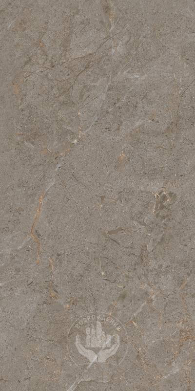 Керамогранит Verona 60х120х0.9 PT12J7051 120x60 Матовая Карвинг 