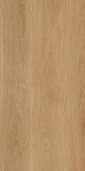 Керамогранит Albero Beige 60х120х0.9 PT12F7041 120x60 Матовая 