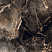 Керамогранит Wind Natural Royal 120x60, черный, глянцевый OC0000017 120x60 Глянцевый High Glossy Черный